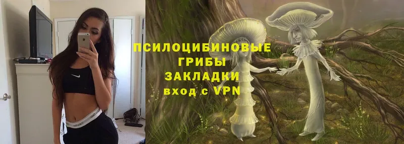 Галлюциногенные грибы MAGIC MUSHROOMS  Муром 